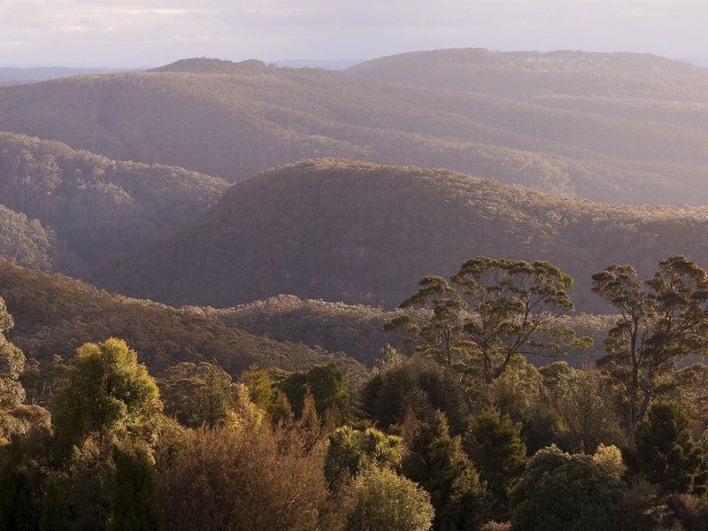 Mount Tomah Botanical Gardens Image -5be75272e0c2a